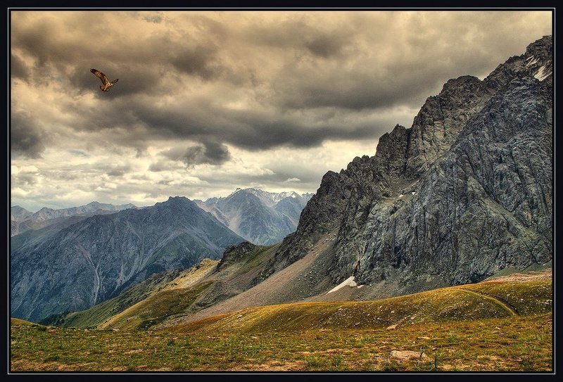 На вершине ... фото превью