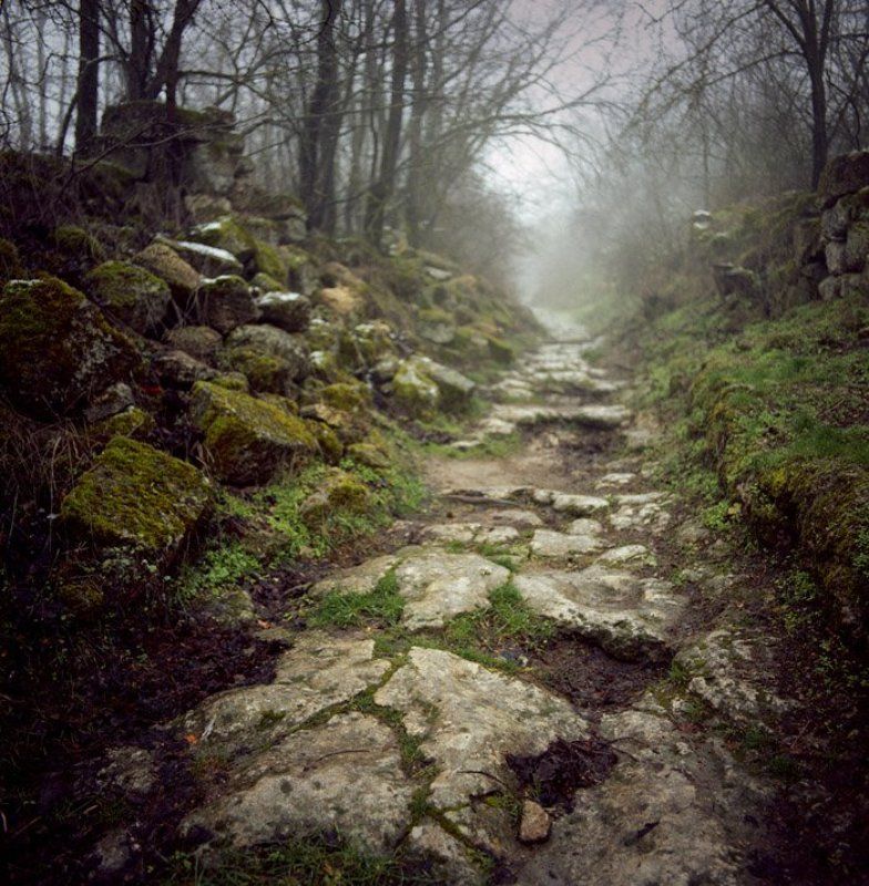 Дорожка фото превью