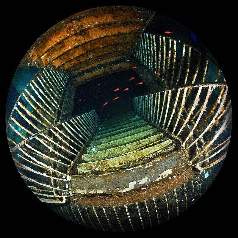 мальта, циркуляр, Сергей Шанин