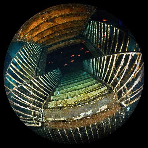 Рыбки из нашего подъезда