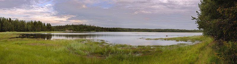 Белое море. Подступы к Черной Речке фото превью