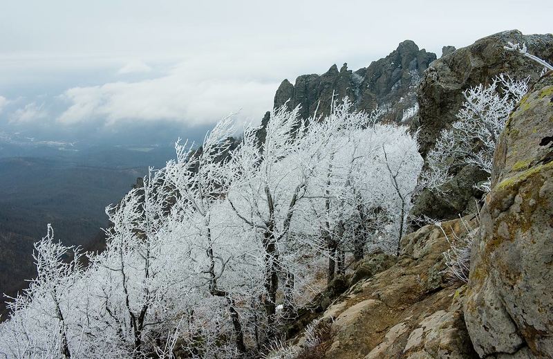 Дыхание уходящей Зимы фото превью