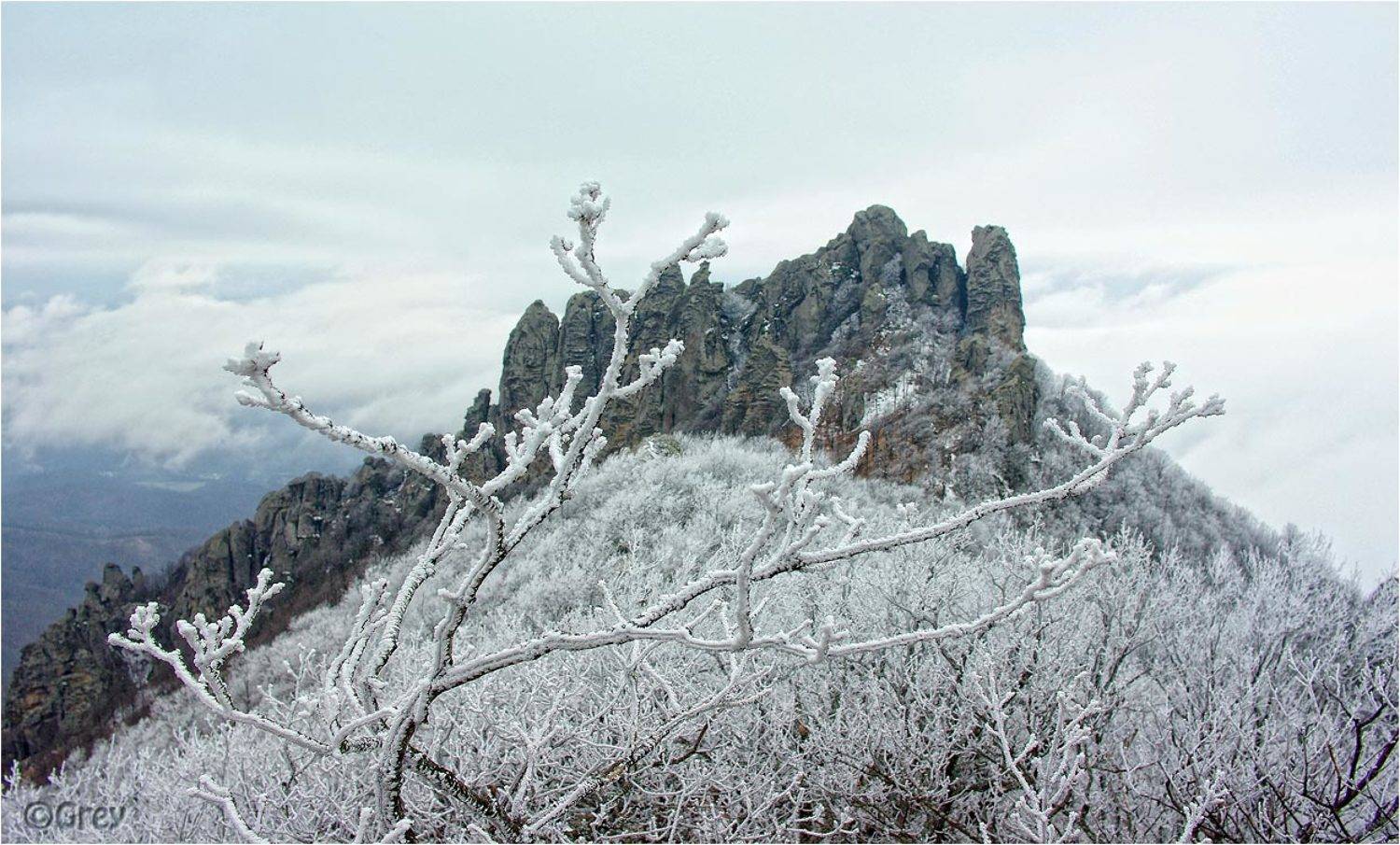 , Сергей Павлов
