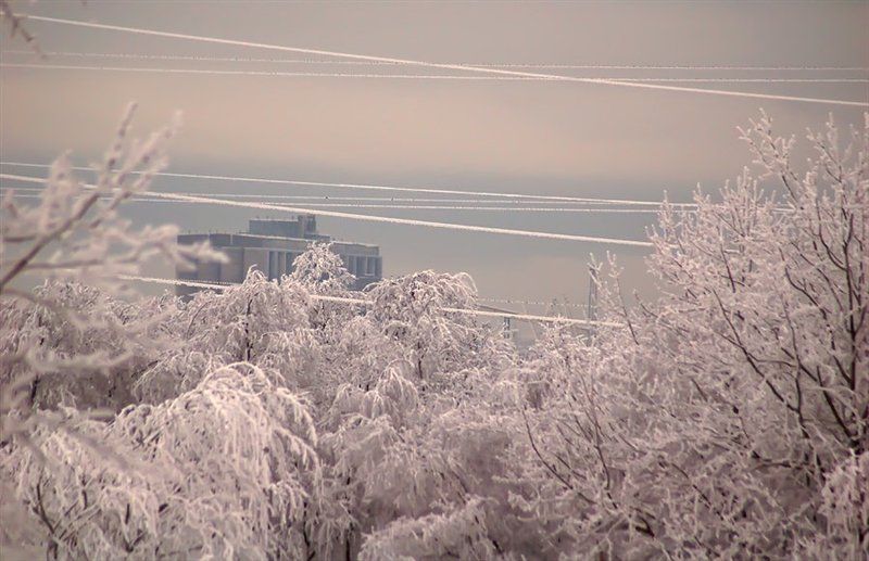 **** фото превью