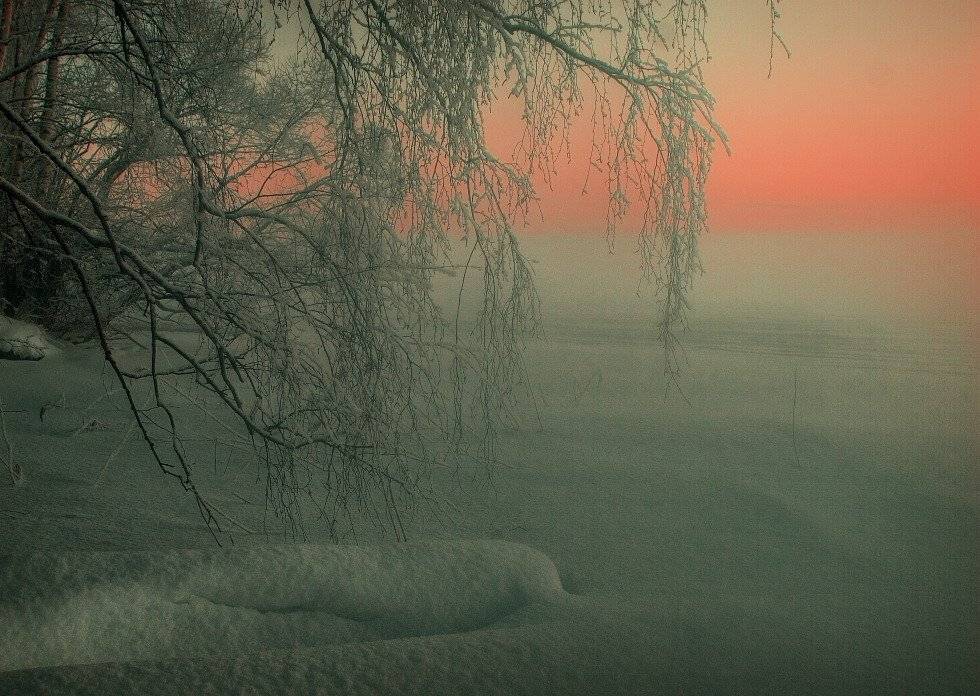 , Владимир Липецких