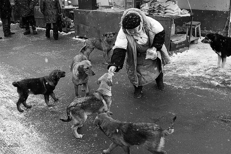 * фото превью