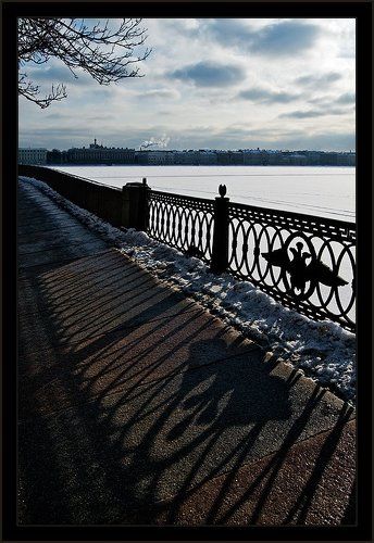 Ажурная солнечная весенняя питерская зарисовка