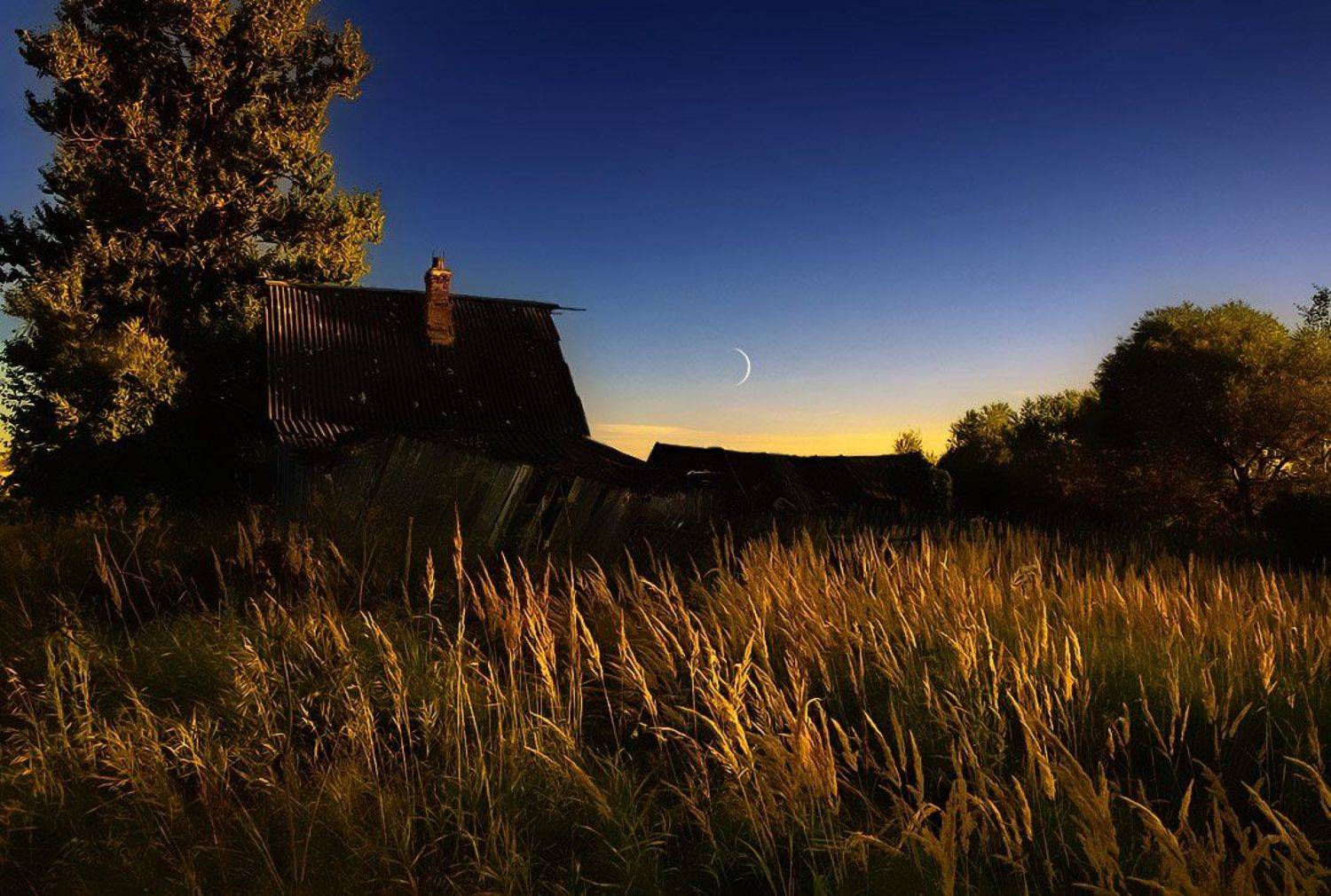 вербежичи, русь, деревня, губерния, вера, ivlyi