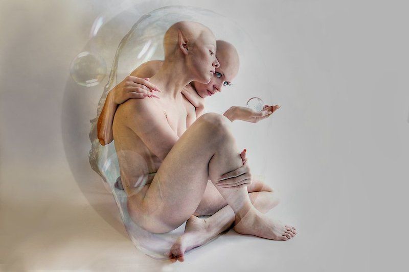 мидии фото превью