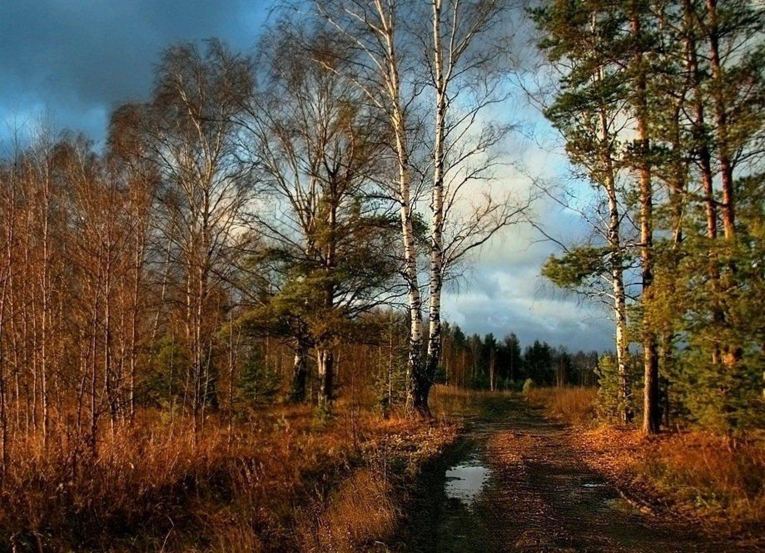 осень,вечер, Василий Черкасский