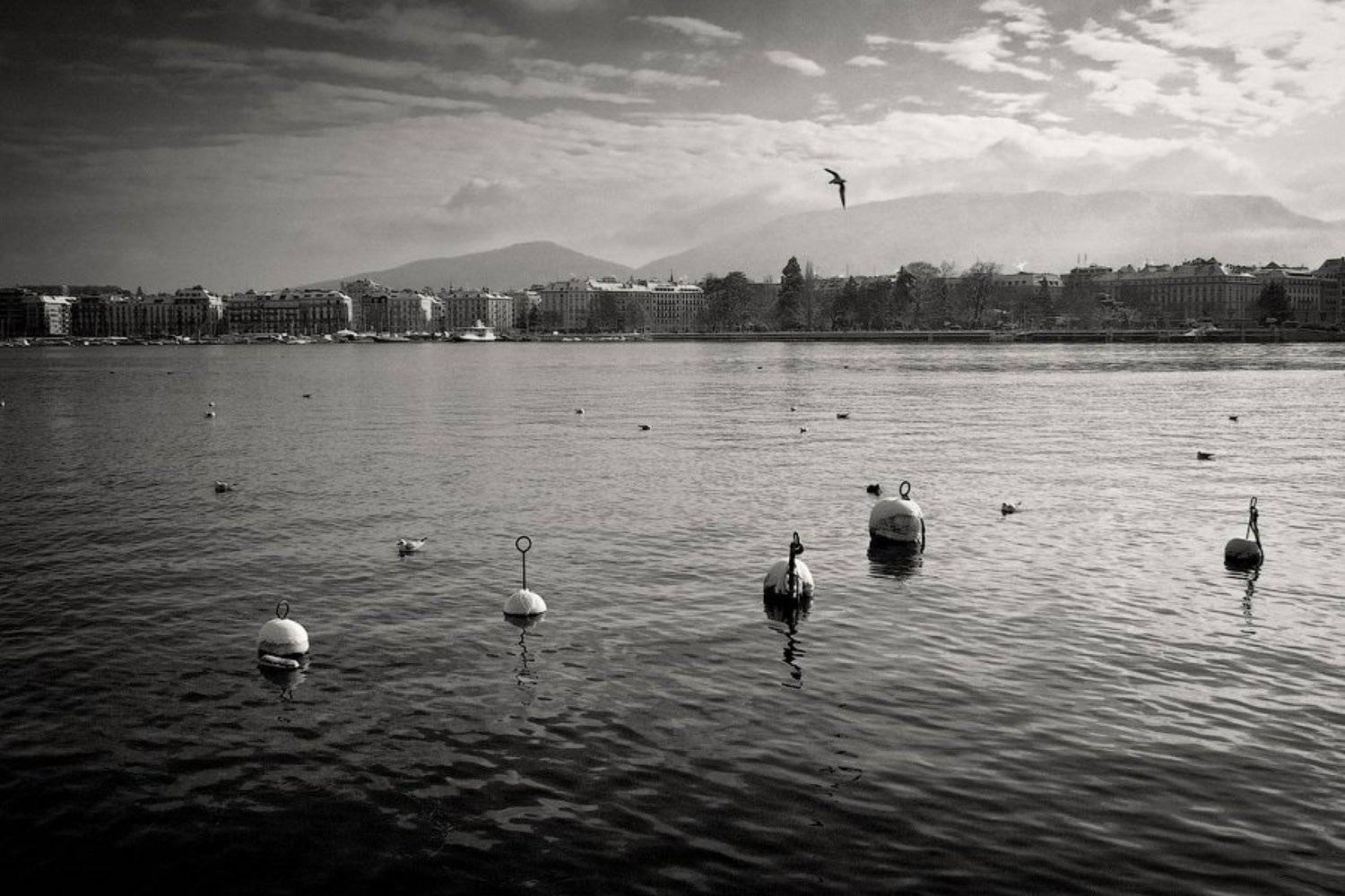 швейцария, женева, город, озеро, вода, буй, чайка, птица, небо, гора, зима, dyadyavasya, Дмитрий Шамин