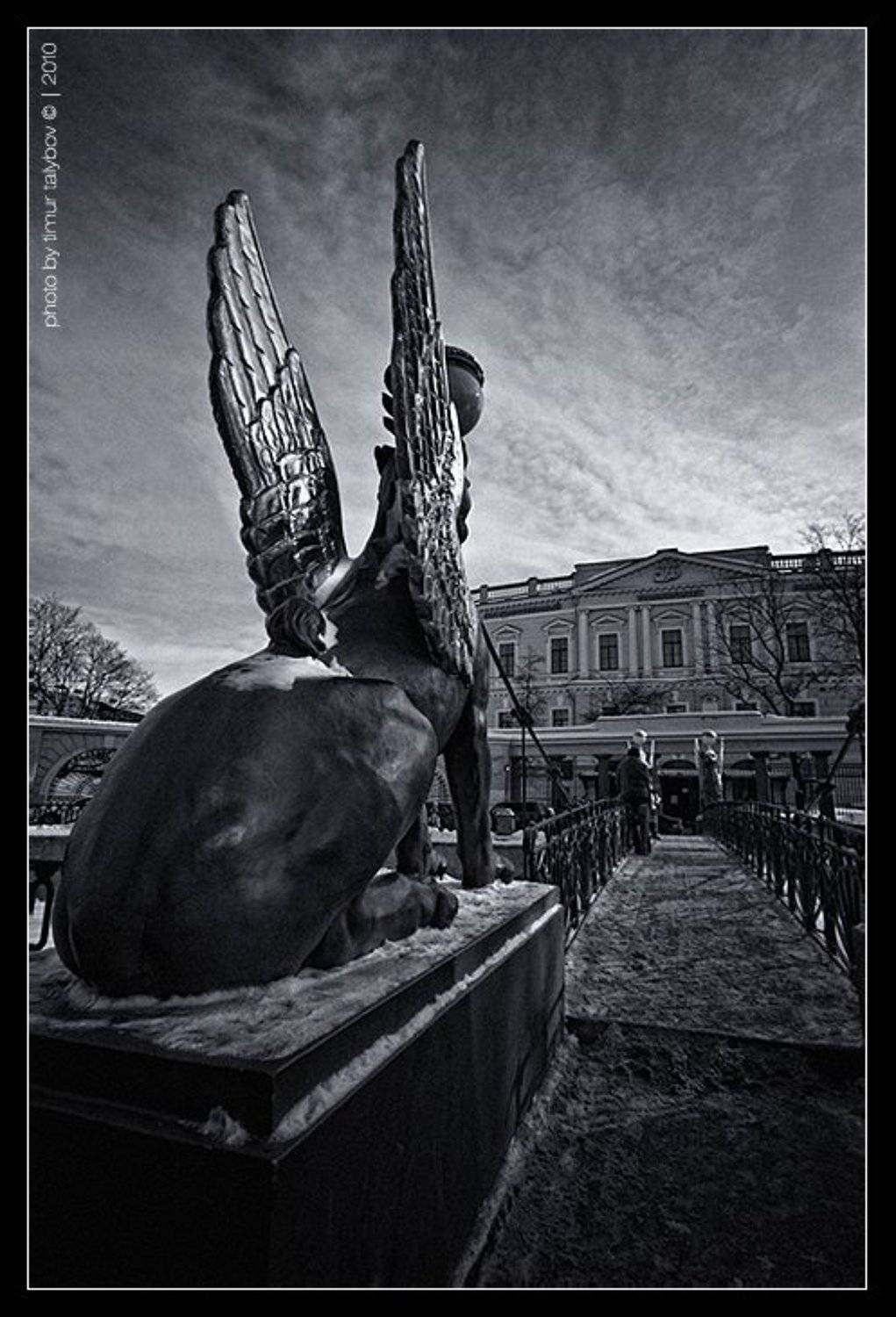 , Тимур Талыбов