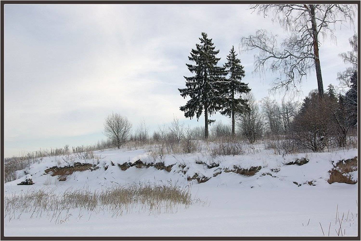 лес,зима, Солодухин Виктор