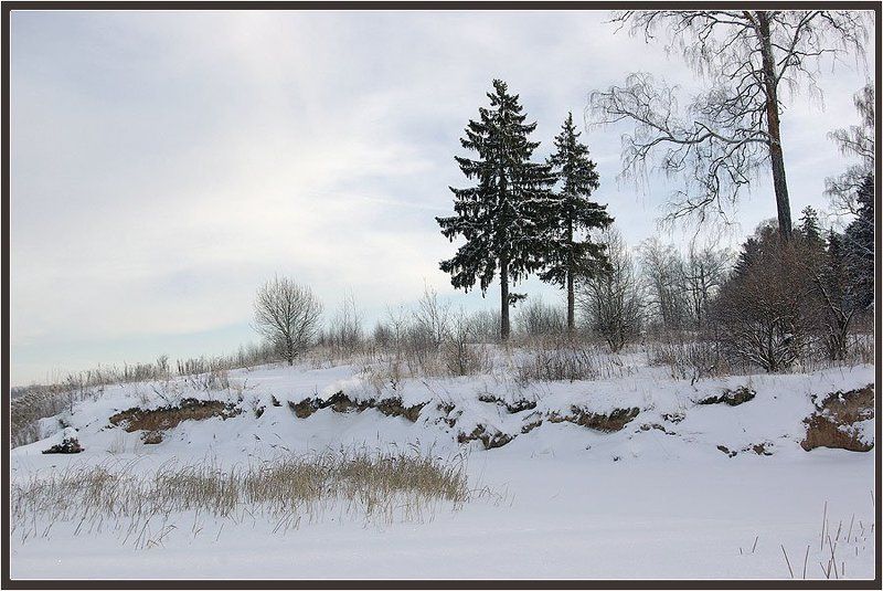 лес,зима У озера фото превью