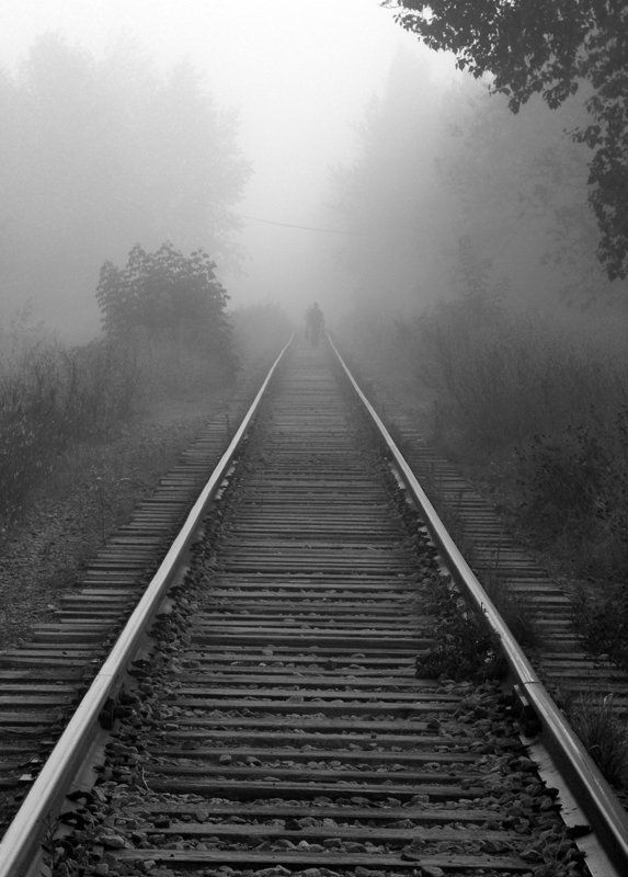 утро туман б.наз фото превью