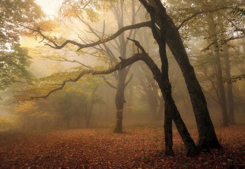 крым Осенняя зарисовка фото превью