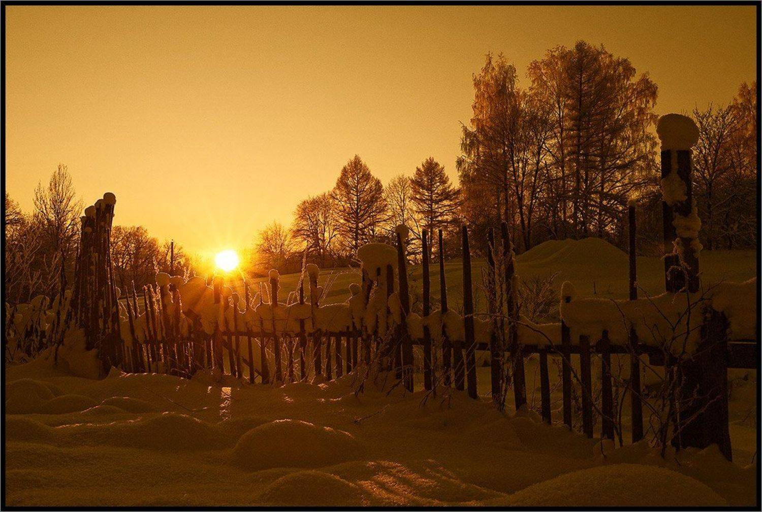 , Лунный Ежик