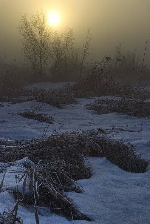 туман,утро, Михаил Мочалов