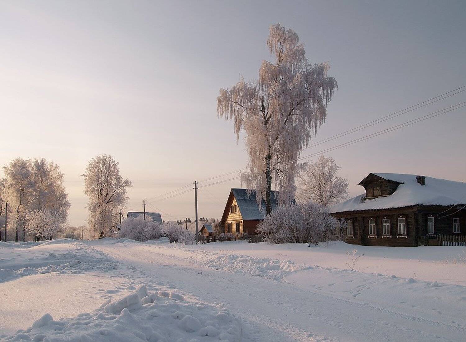 , Максим Евдокимов