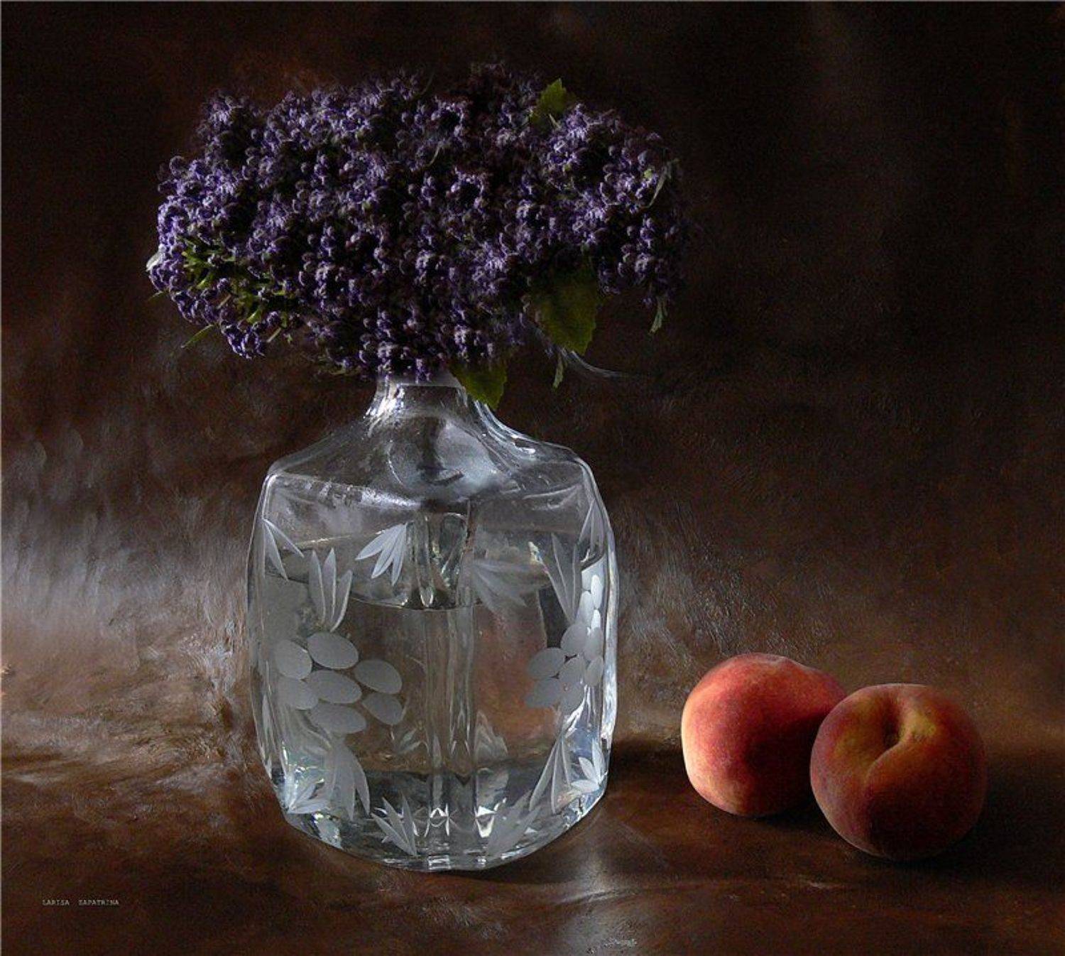 , Лариса Запатрина