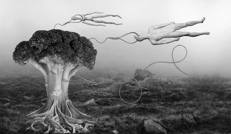 Человек стать хотел счастлив... фото превью