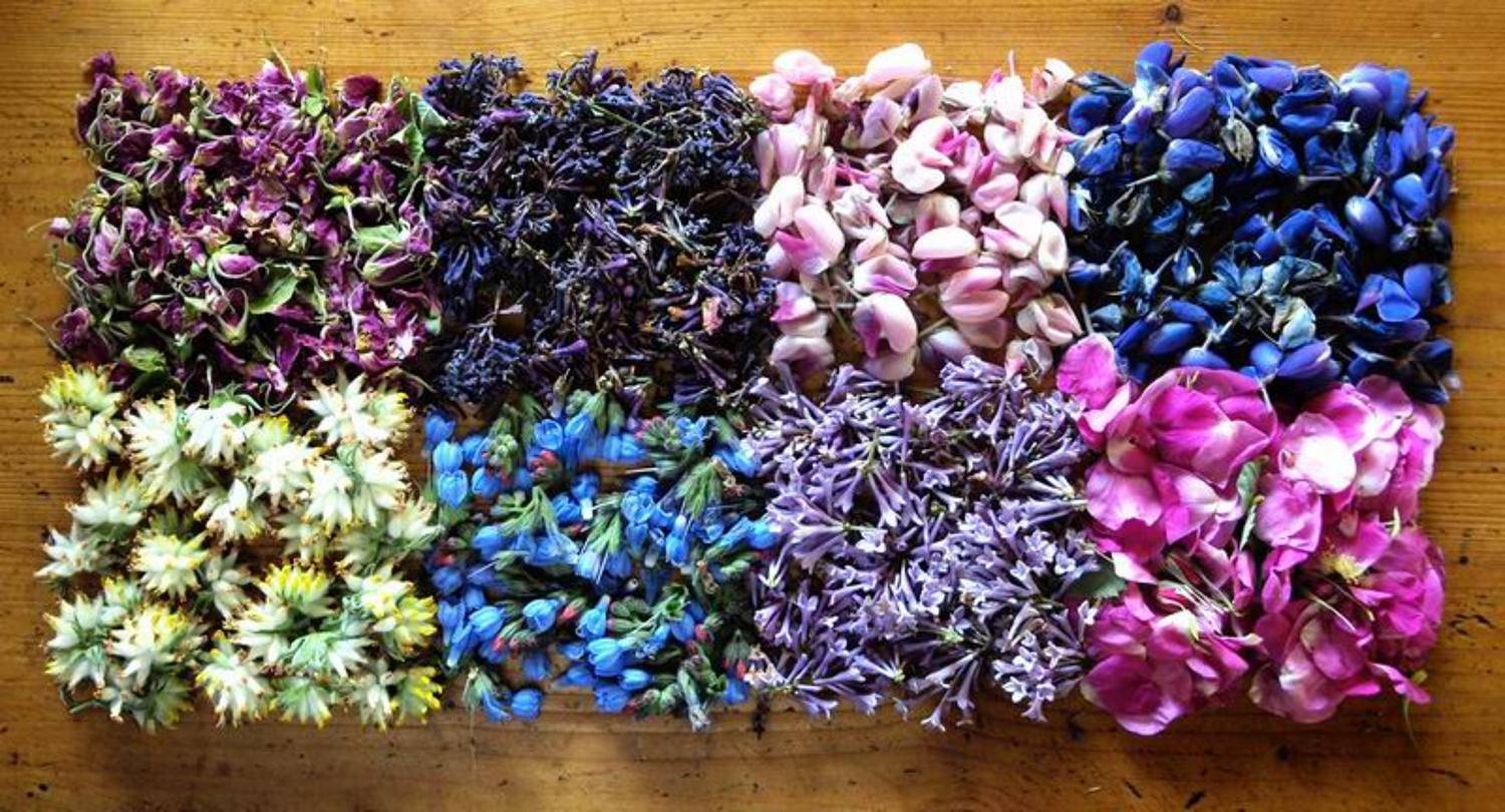 натюрморт, николай дмитрук