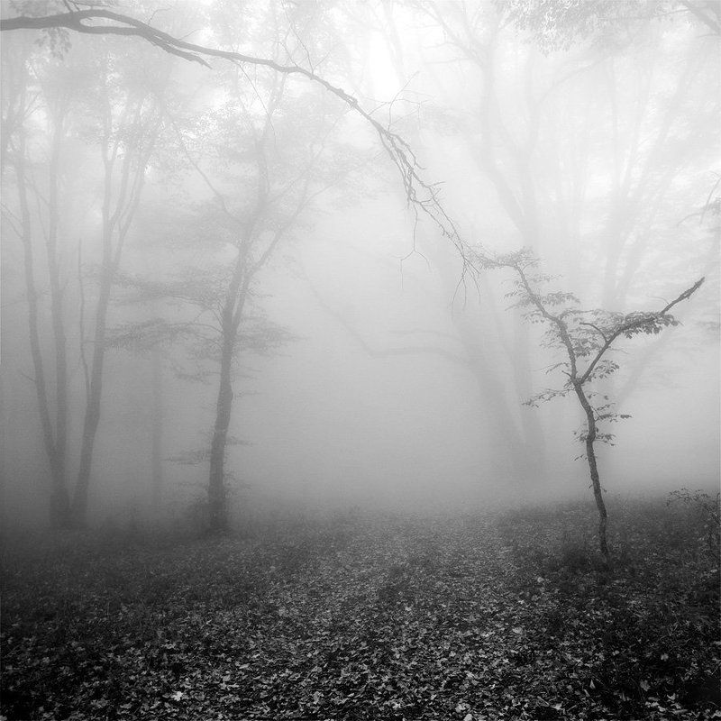 Прикосновение фото превью