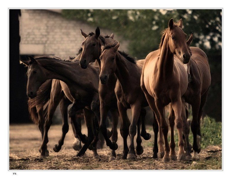 Ранним утром фото превью