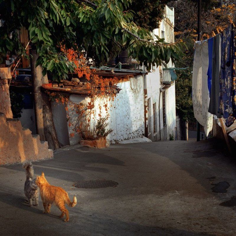 Встреча фото превью