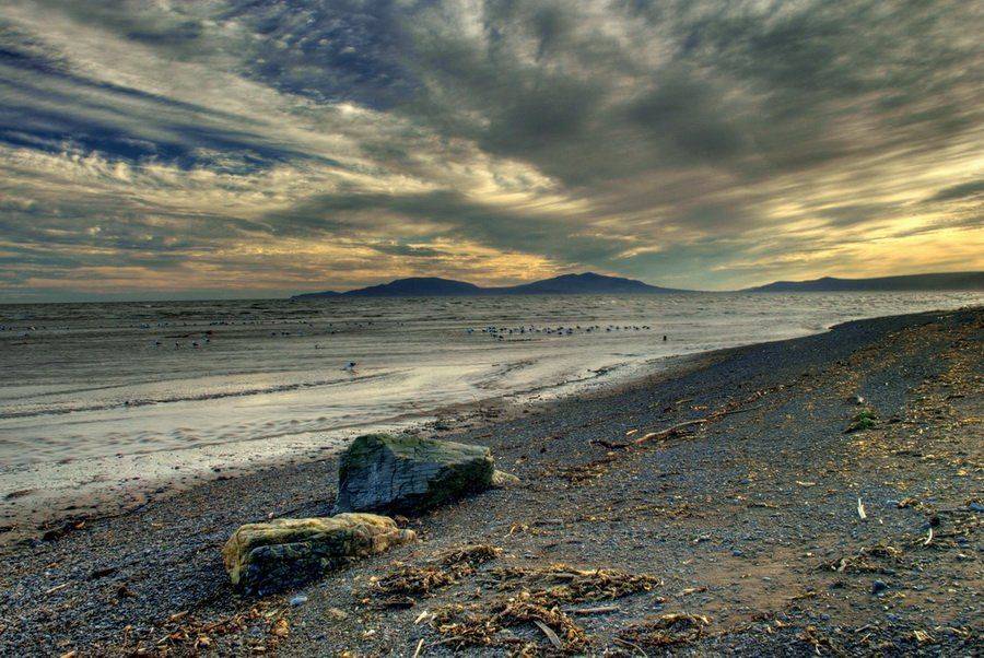 осенние зарисовки., Surgeon