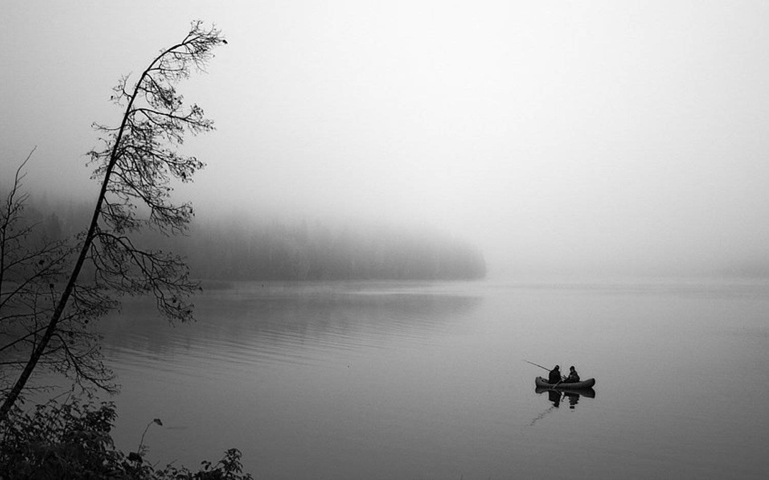 туман,утро, dima05