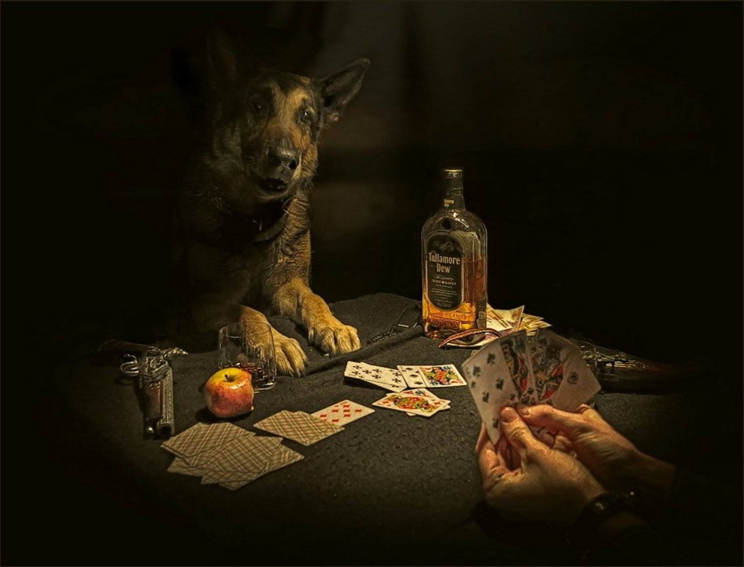 , Алпатов Игорь