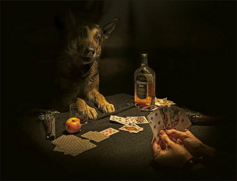 *Карты,деньги,два ствола* фото превью