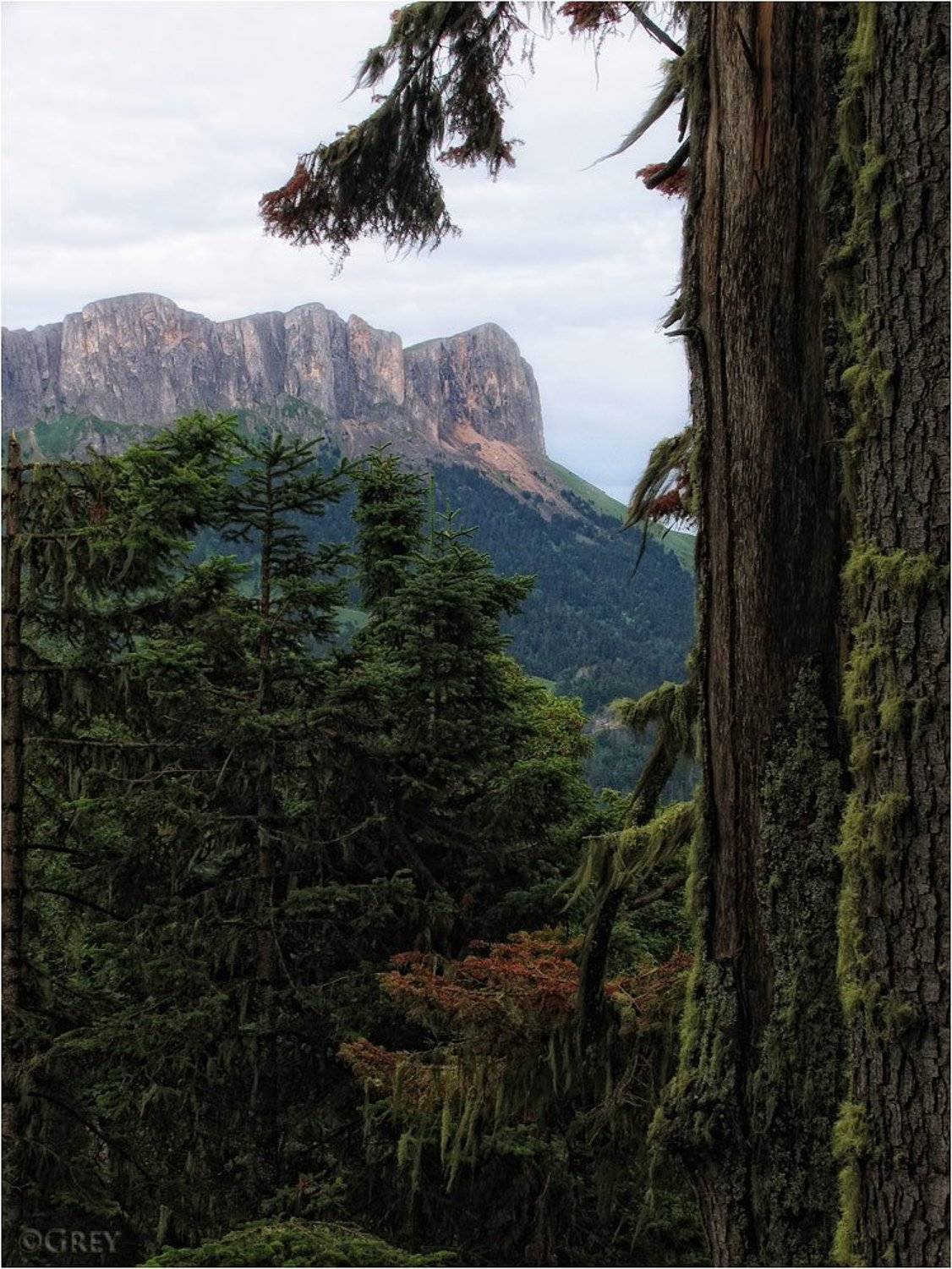 тхач,горы,лес, Сергей Павлов