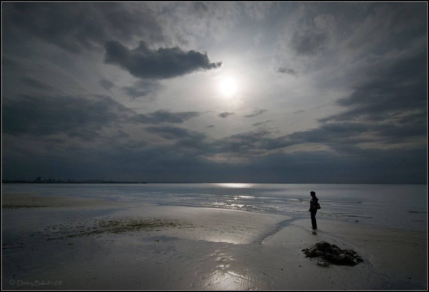 таллин, Дмитрий Бакулин