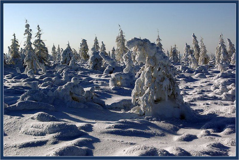 тайга,заполярье,зима Март Заполярья фото превью