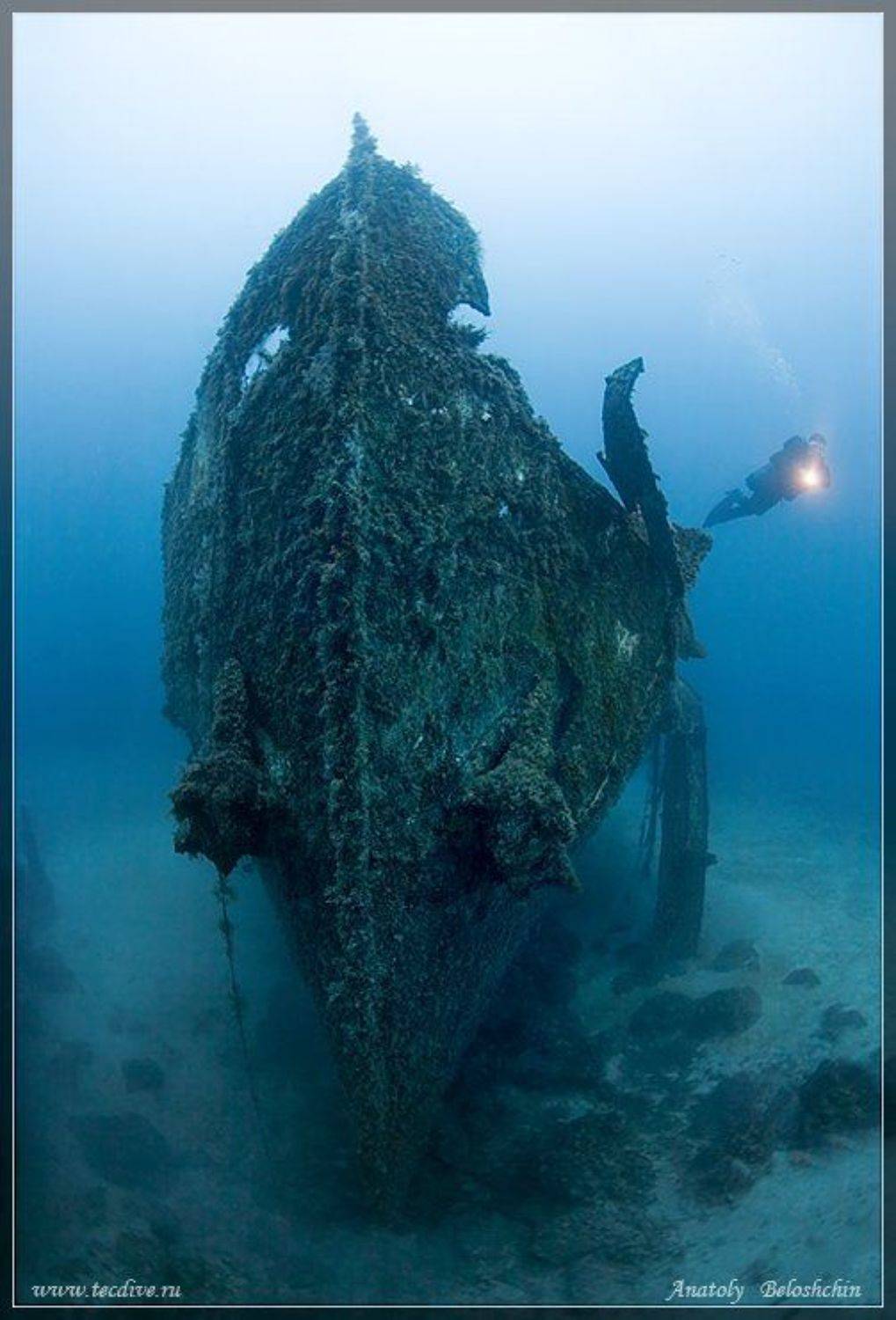 затонувшее, судно, imperial, eagle, средиземное, море, мальта, anatoly, beloshchin, side, mount, Anatoly  Beloshchin