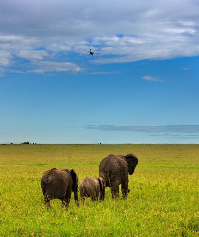 туда, куда улетают самолеты... фото превью