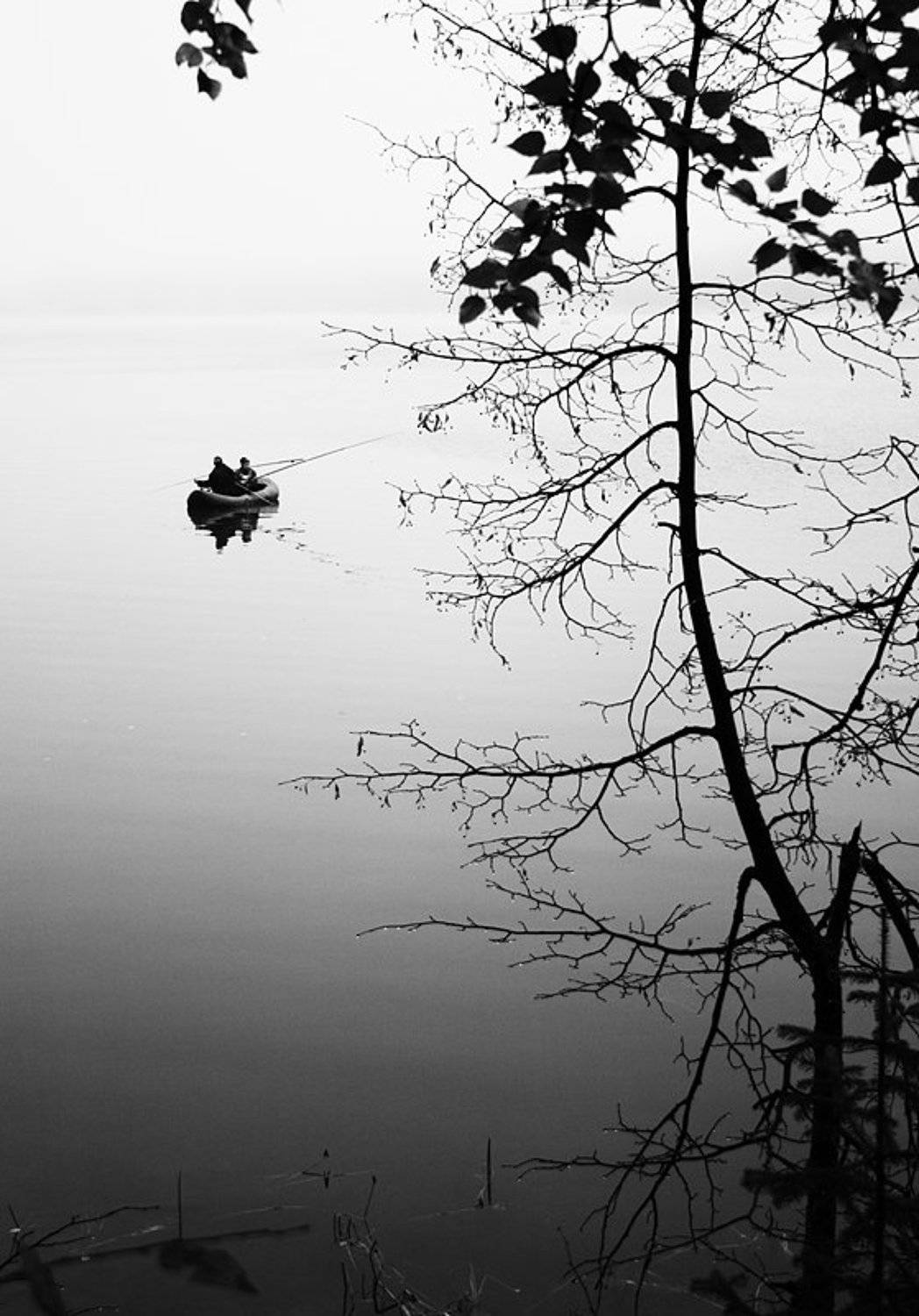 утро туман, dima05