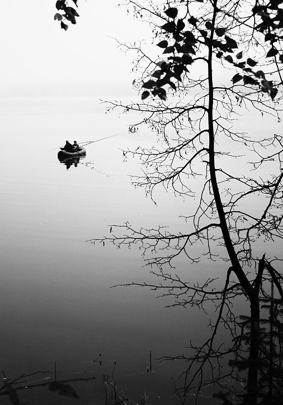 утро туман про рыбалку фото превью