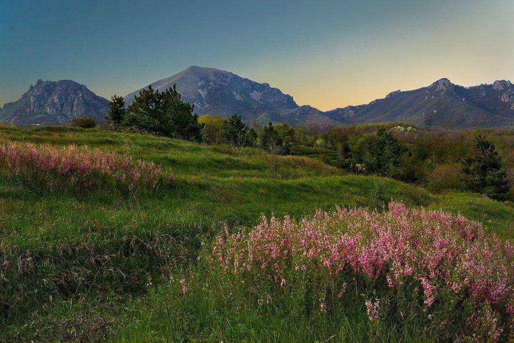 рассвет гора вереск, Елена Брежицкая
