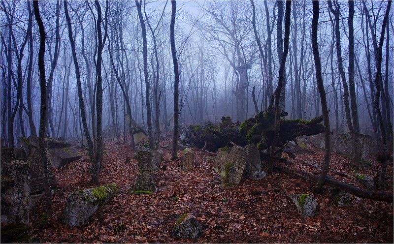 Балта-Тиймез фото превью