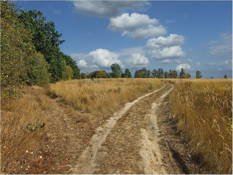 По дороге с облаками фото превью