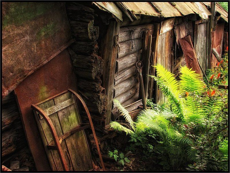 Дедушкин сарай. фото превью