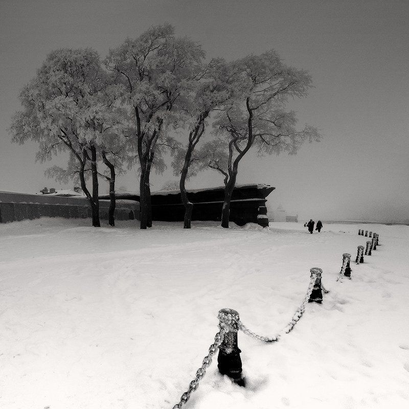 Зимний сон фото превью