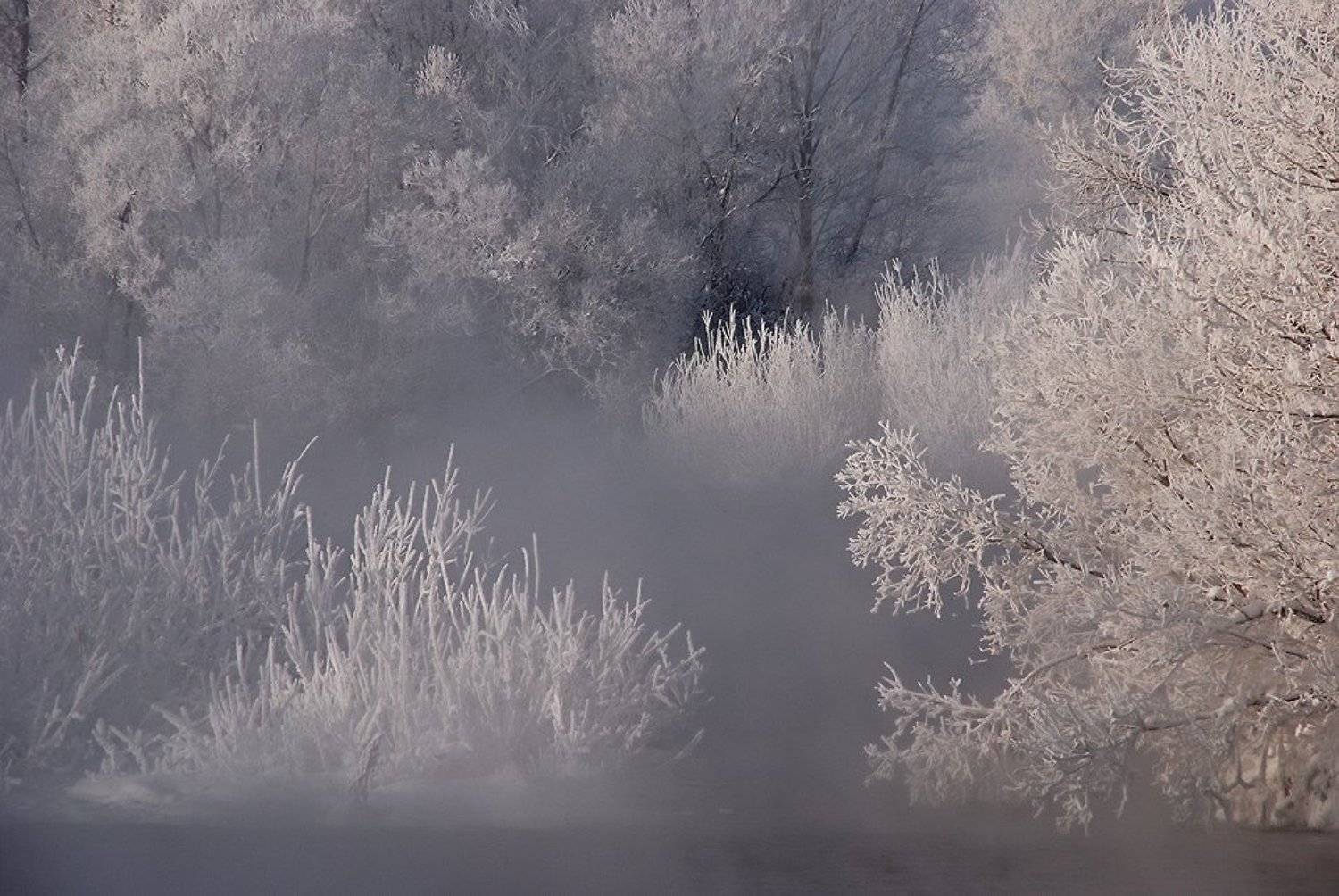 иртыш,зима,иней, Александр