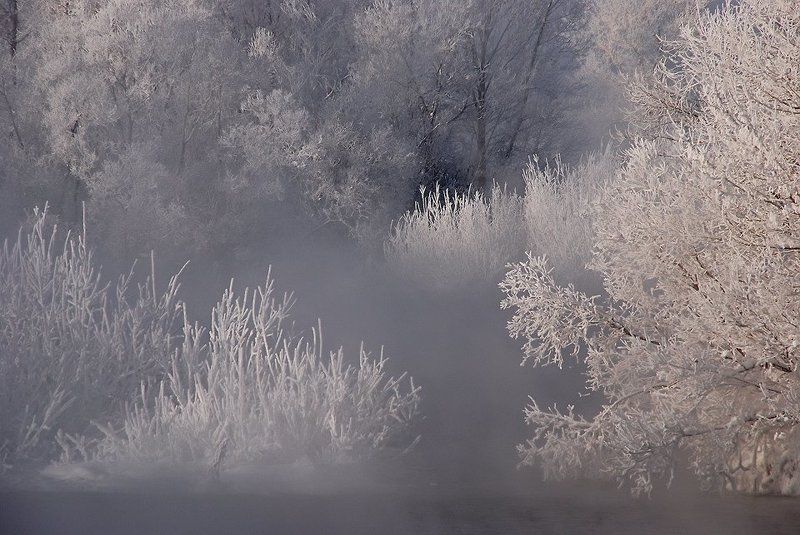 иртыш,зима,иней *** фото превью