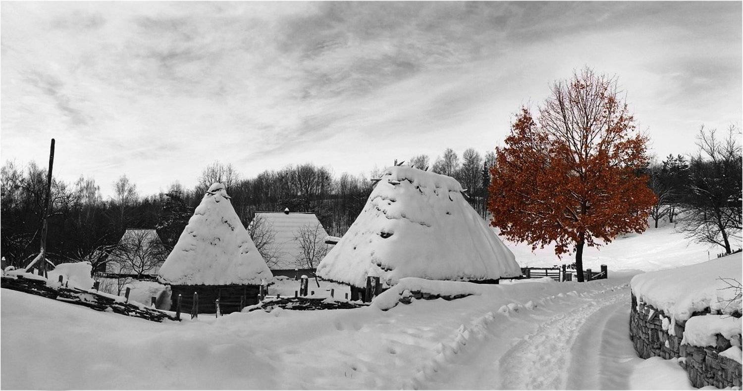 , Александр