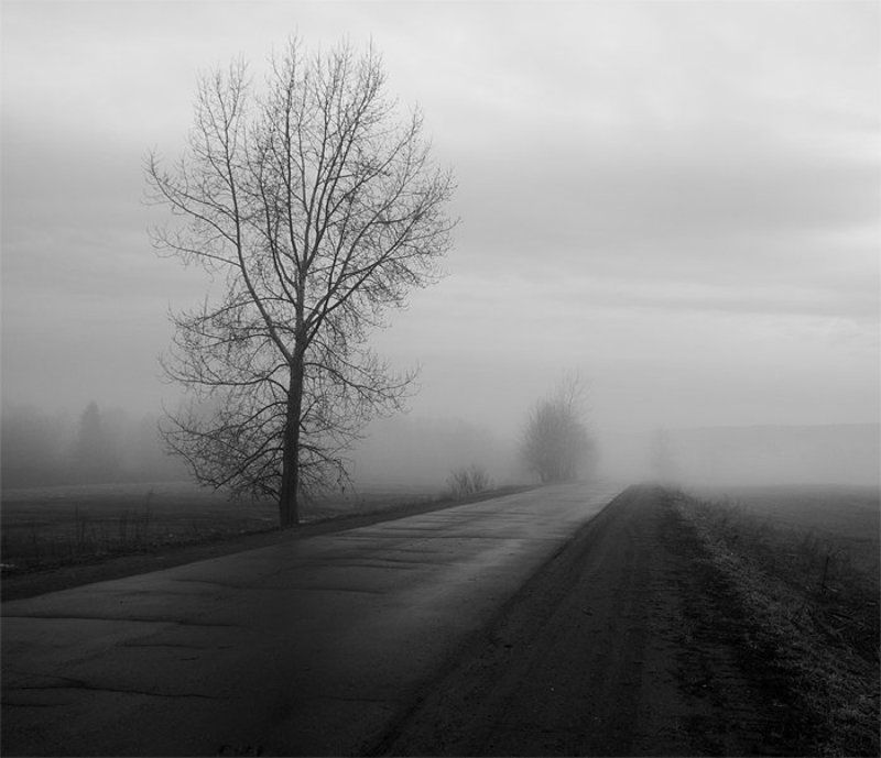 утро туман без названия фото превью