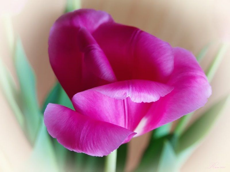 With love. фото превью